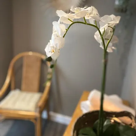 Parenthese A La Sarte *