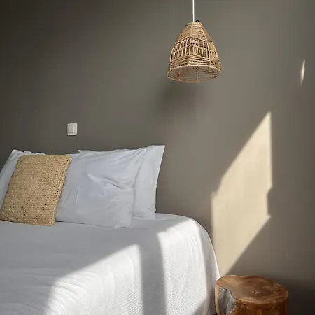 Le Wellness Des Alpagas Huy